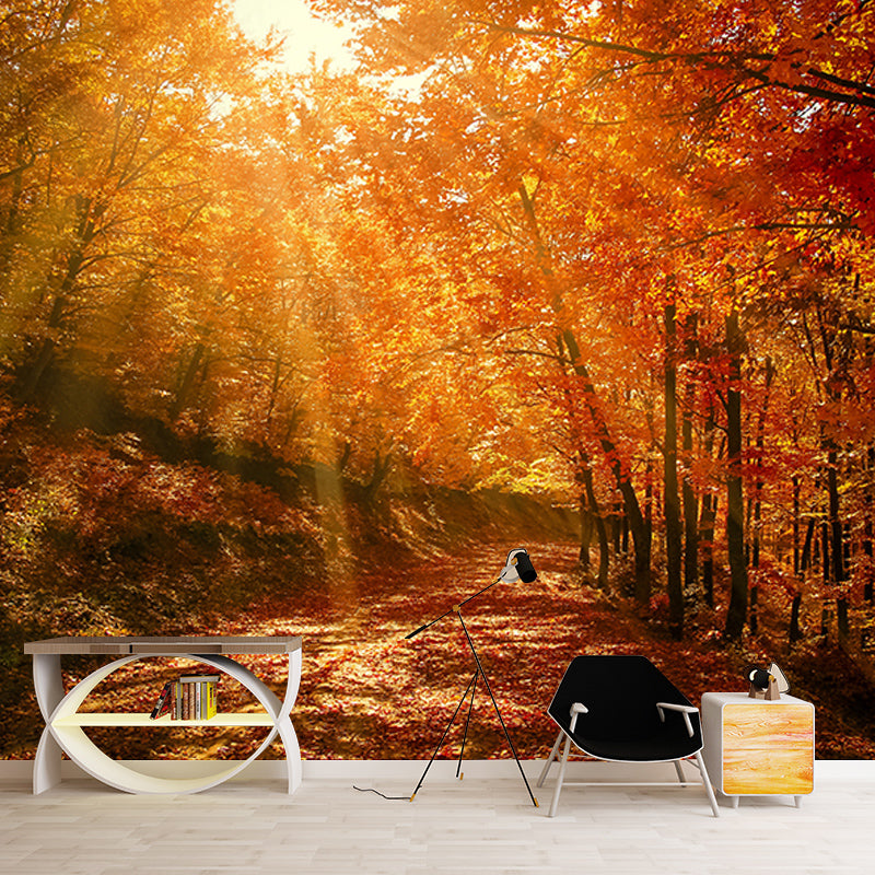 Photography Wall Mural Wallpaper Forest Sitting Room Wall Mural