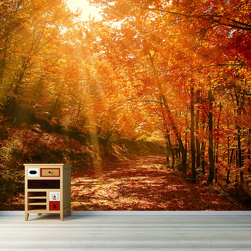 Photography Wall Mural Wallpaper Forest Sitting Room Wall Mural