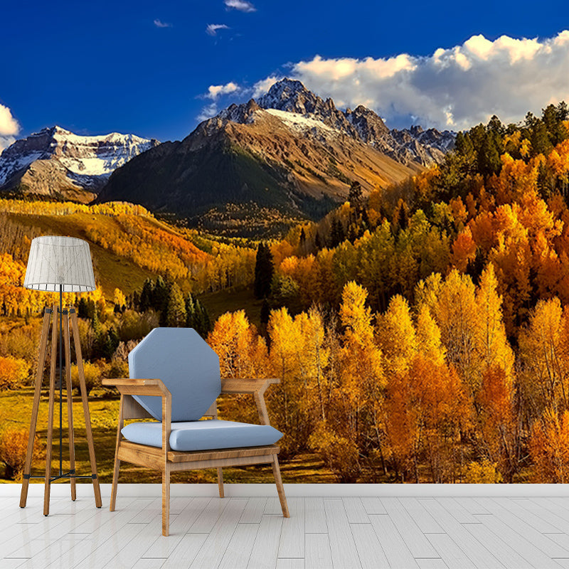 Photography Wall Mural Wallpaper Forest Sitting Room Wall Mural