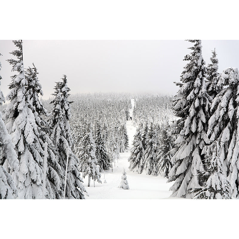 Forest Mildew Resistant Mural Wallpaper Living Room Wall Mural