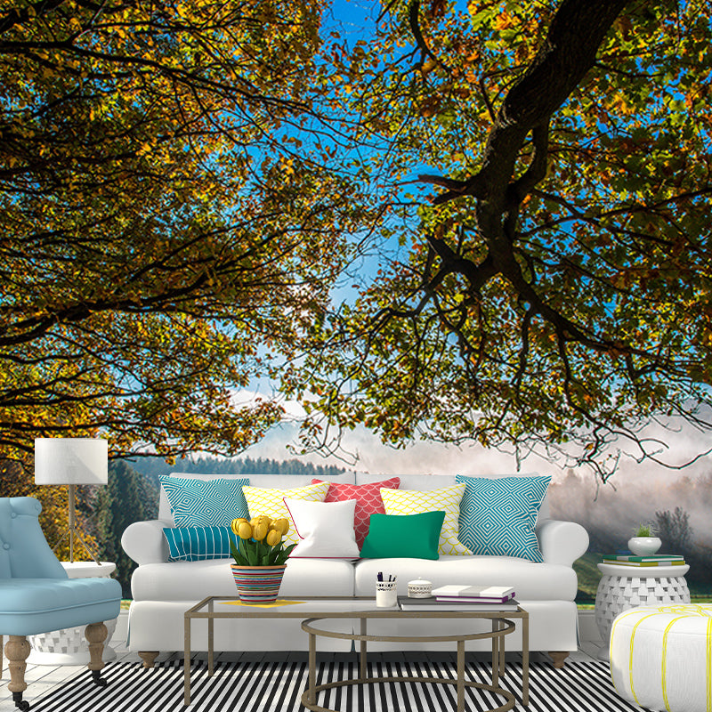 Modern Photography Mural Wallpaper Forest Living Room Wall Mural