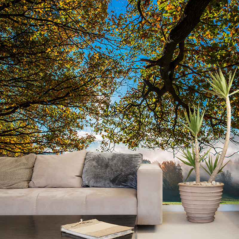 Modern Photography Mural Wallpaper Forest Living Room Wall Mural