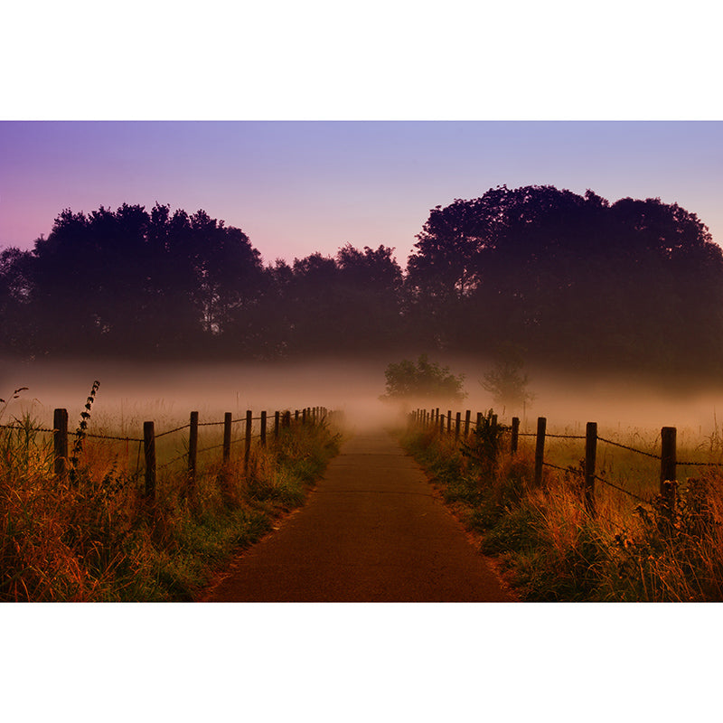 Forest Photography Mural Wallpaper Environment Friendly Living Room Wall Mural