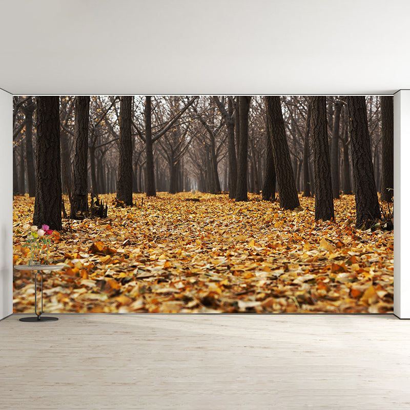 Forest Photography Mural Wallpaper Environment Friendly Living Room Wall Mural