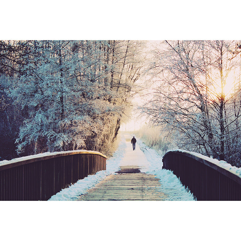 Photography Stain Resistant Mural Wallpaper Forest Indoor Wall Mural