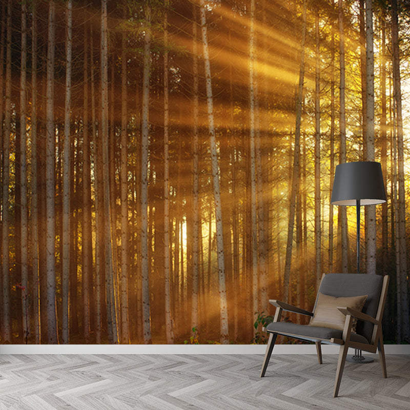Modern Style Mural Wallpaper Forest Photography Indoor Wall Mural