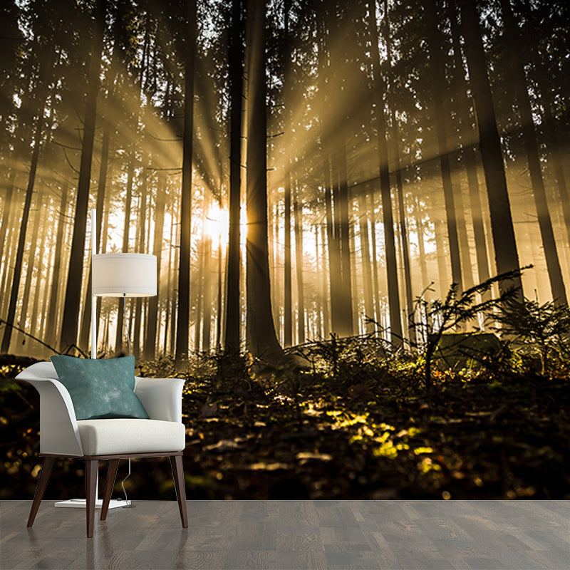 Modern Style Mural Wallpaper Forest Photography Indoor Wall Mural