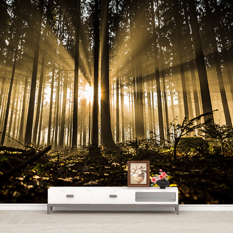 Modern Style Mural Wallpaper Forest Photography Indoor Wall Mural