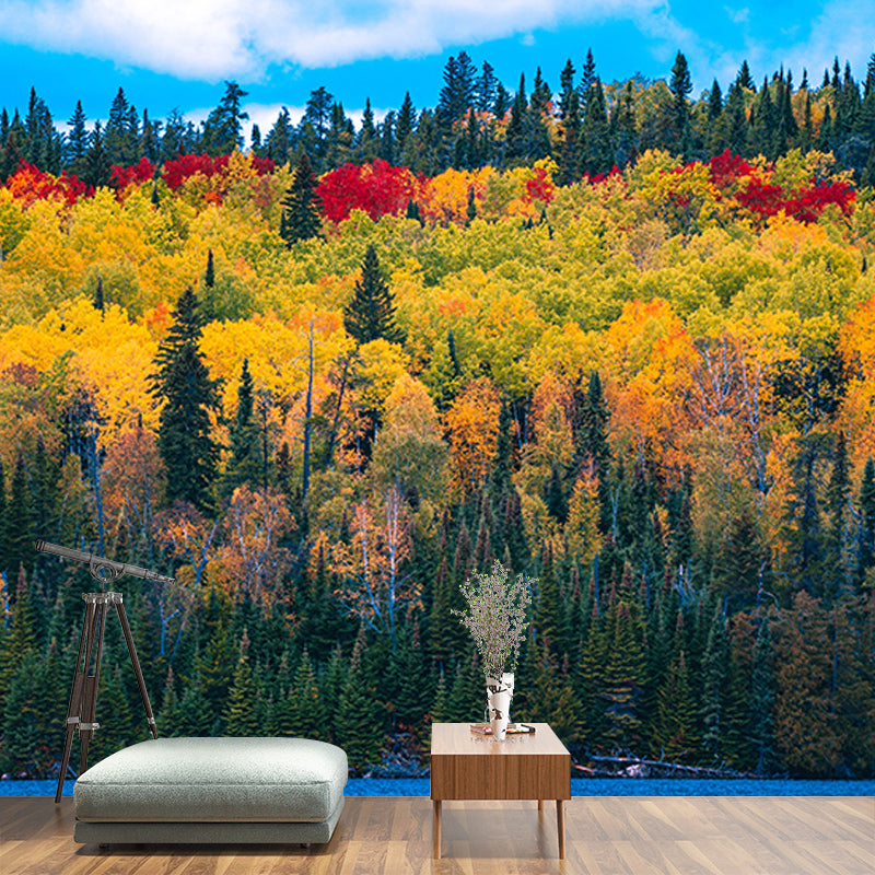 Forest Photography Environment Friendly Mural Wallpaper Bedroom Wall Mural