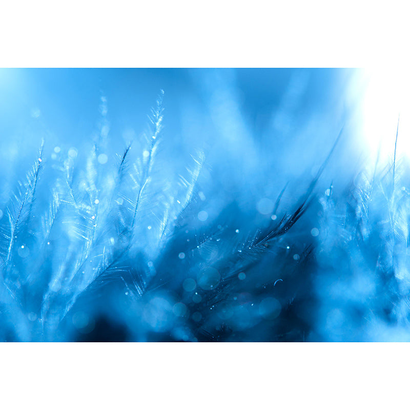 Bright Color Wall Mural Wallpaper Feather Sitting Room Wall Mural