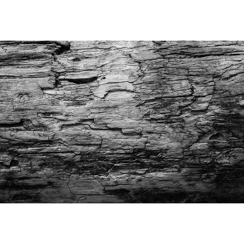 Photography Stain Resistant Wallpaper Wood Grain Living Room Wall Mural