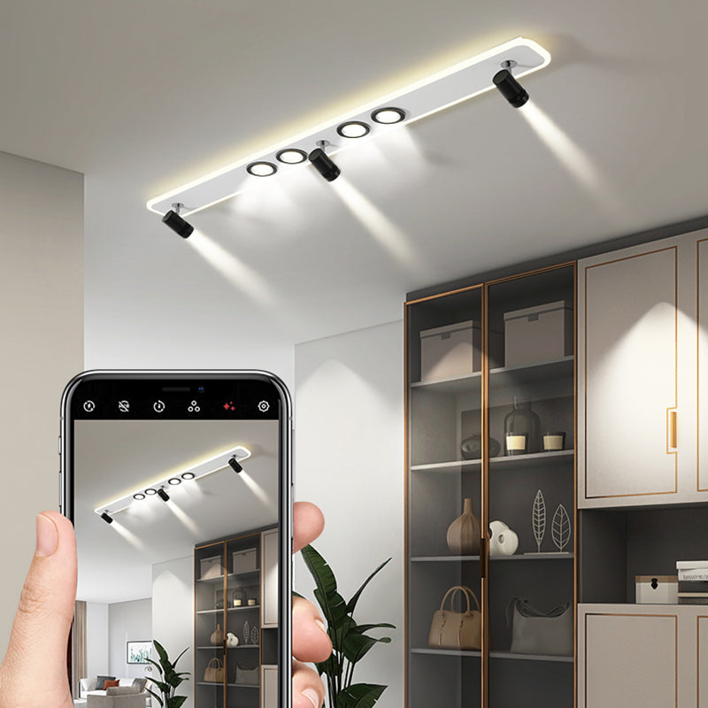 Ellipse Shape LED Rail Ceiling Lamp Modern Simple Style Iron Flush Mount for Living Room Aisle
