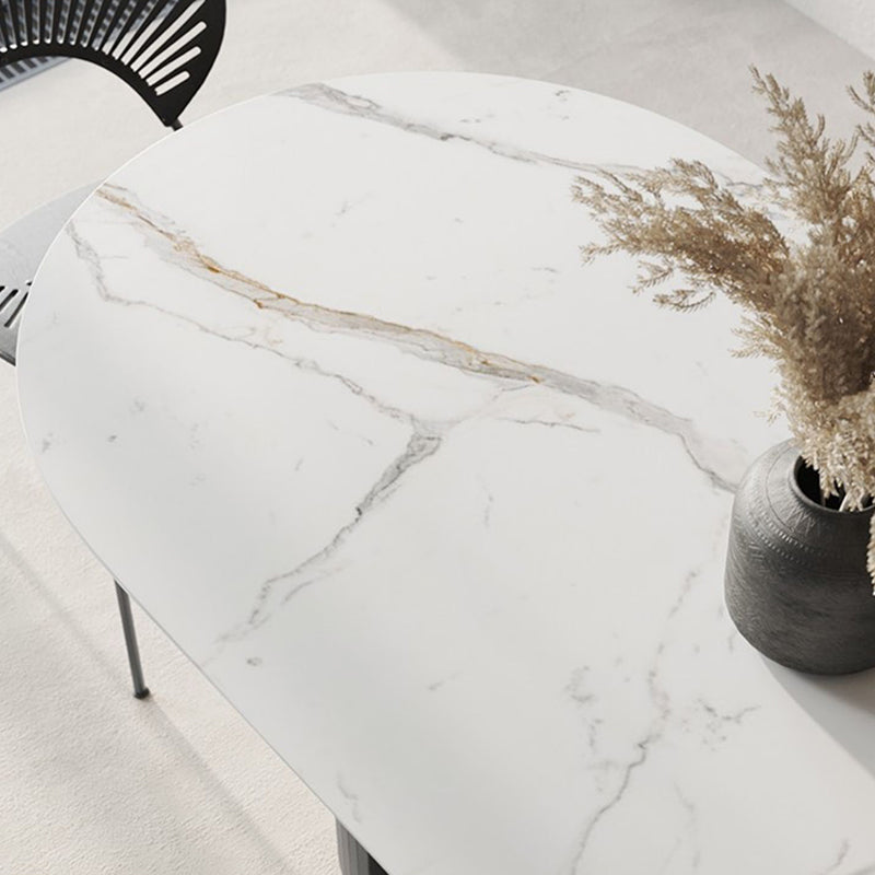 Metal Contemporary Oval Dining Table Sintered Stone Top Table with Double Pedestal Base