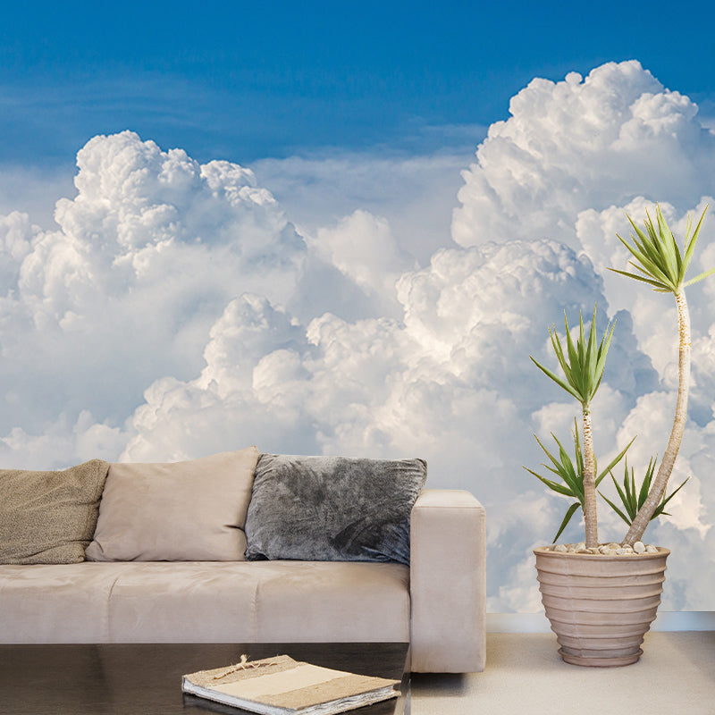 Photography Stain Resistant Mural Wallpaper Beautiful Sky Indoor Wall Mural