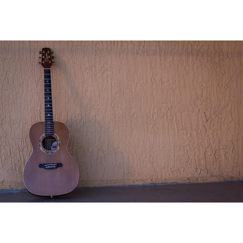 Beautiful Photography Mural Wallpaper Guitar Indoor Wall Mural