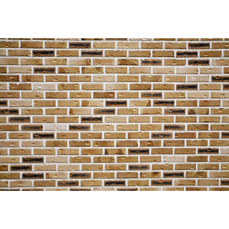 Decorative Photography Mural Wallpaper Brick Wall Indoor Wall Mural