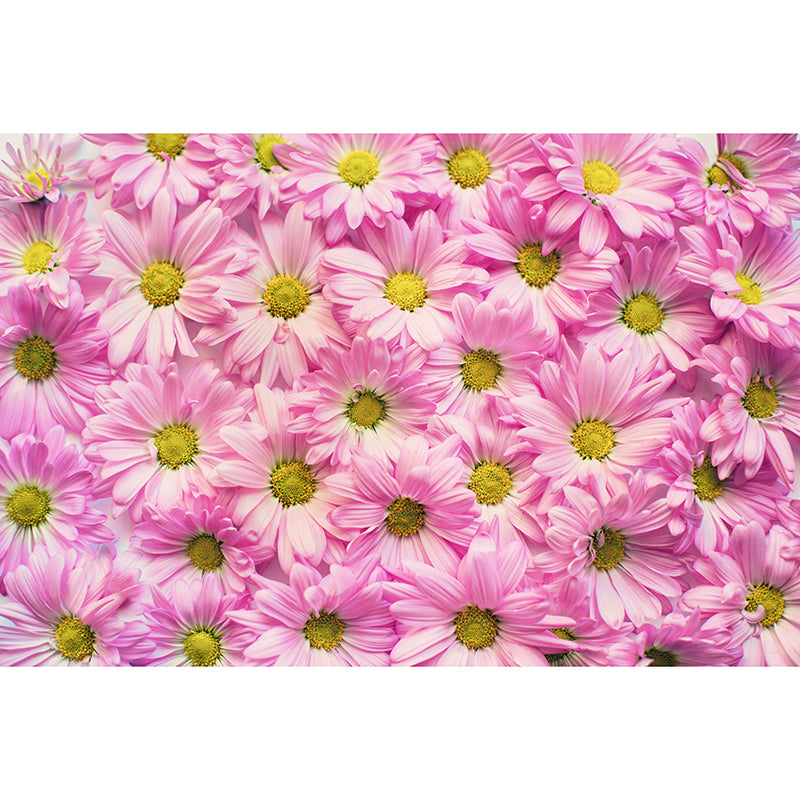 Eco-friendly Wall Mural Wallpaper Daisy Photography Sitting Room Wall Mural
