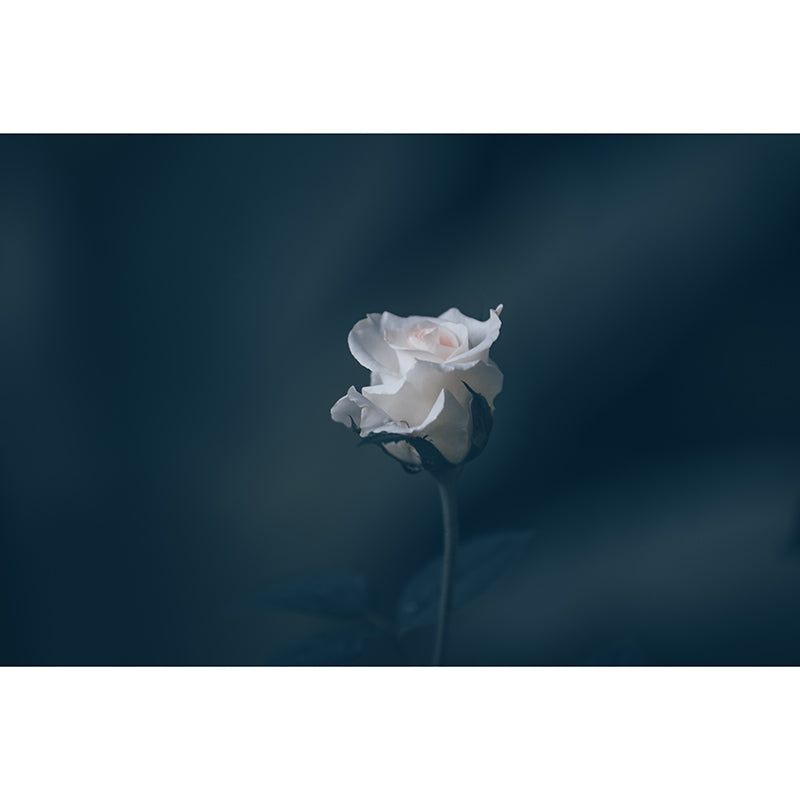 Roses Resistant Mural Wallpaper Environment Friendly Sleeping Room Wall Mural