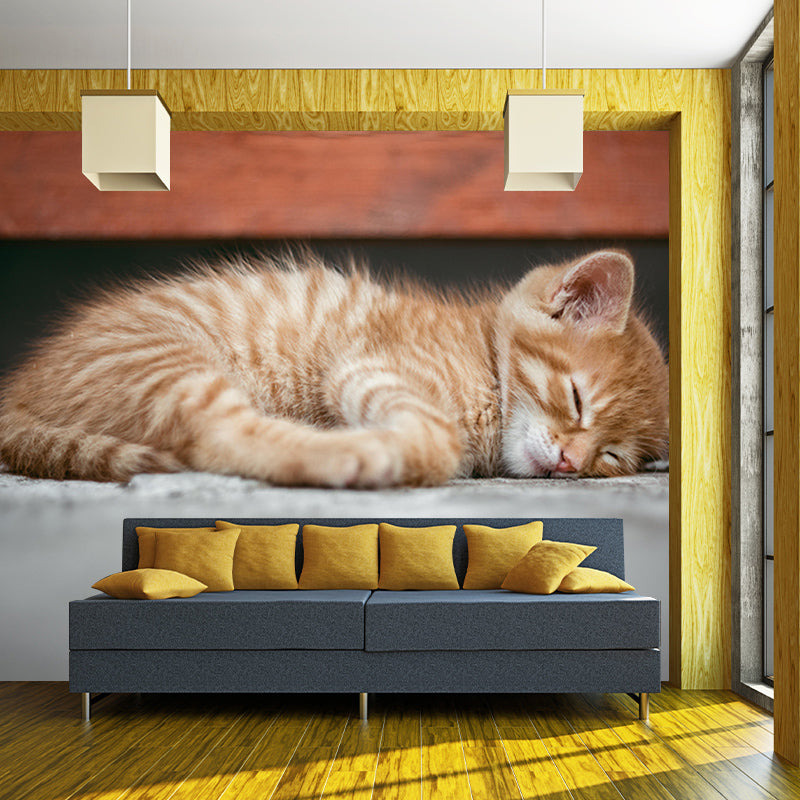 Photography Wall Mural Wallpaper Cats Sitting Room Wall Mural