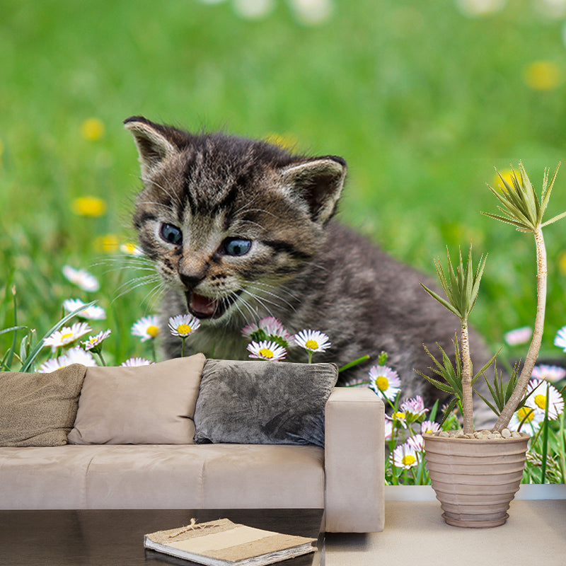 Photography Wall Mural Wallpaper Cats Sitting Room Wall Mural