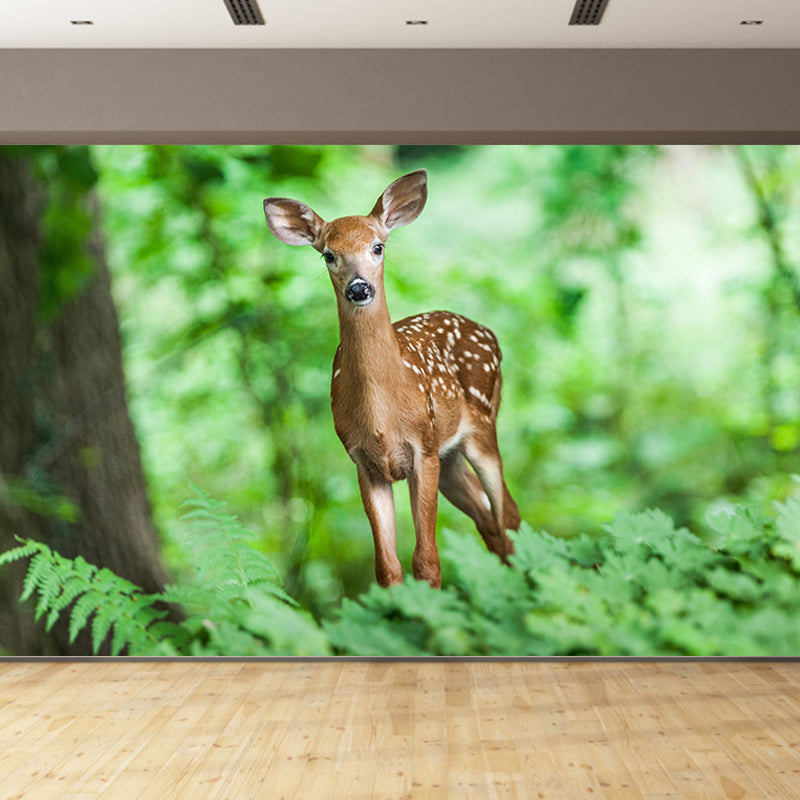 Animals Photography Mildew Resistant Wallpaper Environmental Sleeping Room Wall Mural