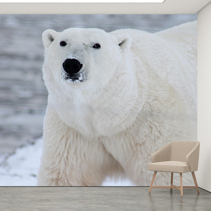 Animals Photography Mildew Resistant Wallpaper Environmental Sleeping Room Wall Mural