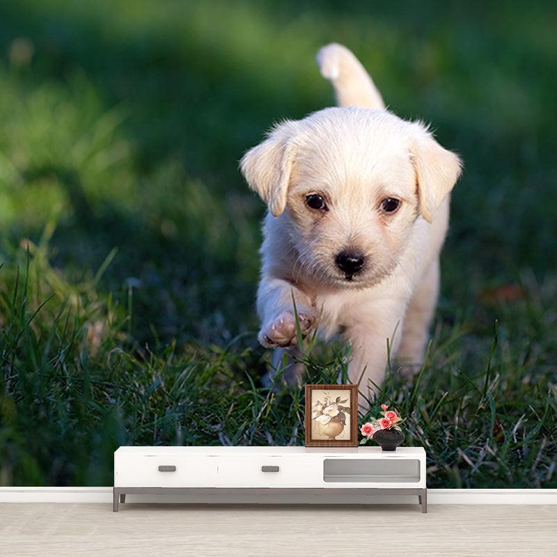 Modern Photography Mural Wallpaper Pet Dog Indoor Wall Mural