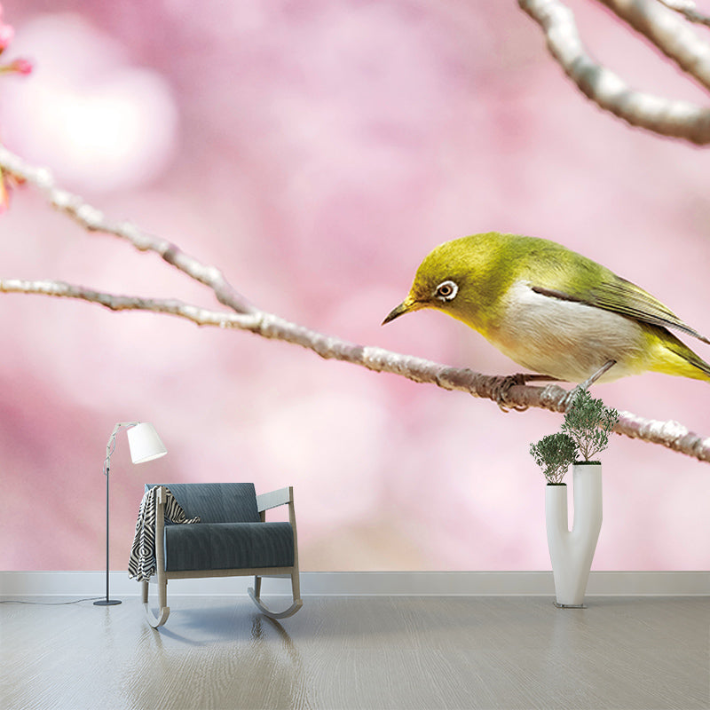 Environmental Photography Mural Wallpaper Birds Indoor Wall Mural