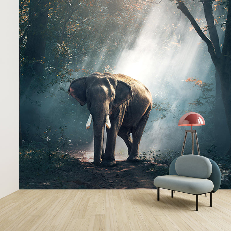 Environmental Wall Mural Wallpaper Elephants Sitting Room Wall Mural