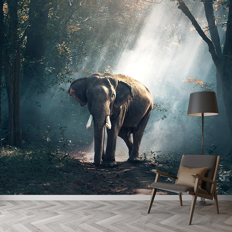 Environmental Wall Mural Wallpaper Elephants Sitting Room Wall Mural