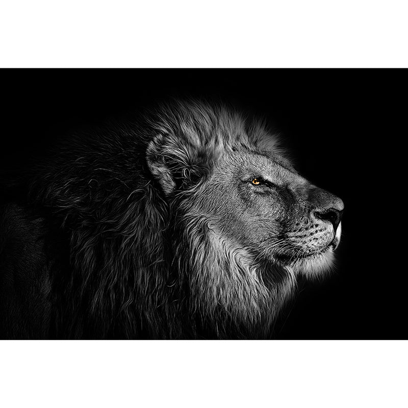 Washable Photography Mural Wallpaper Animals Indoor Wall Mural