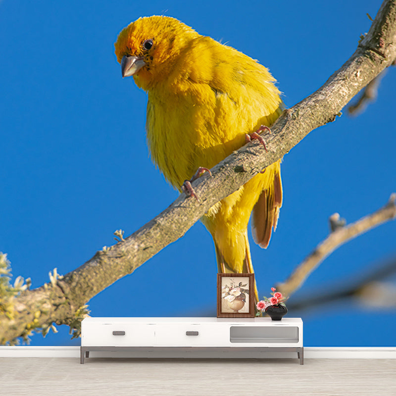 Beautiful Photography Mural Wallpaper Birds Indoor Wall Mural