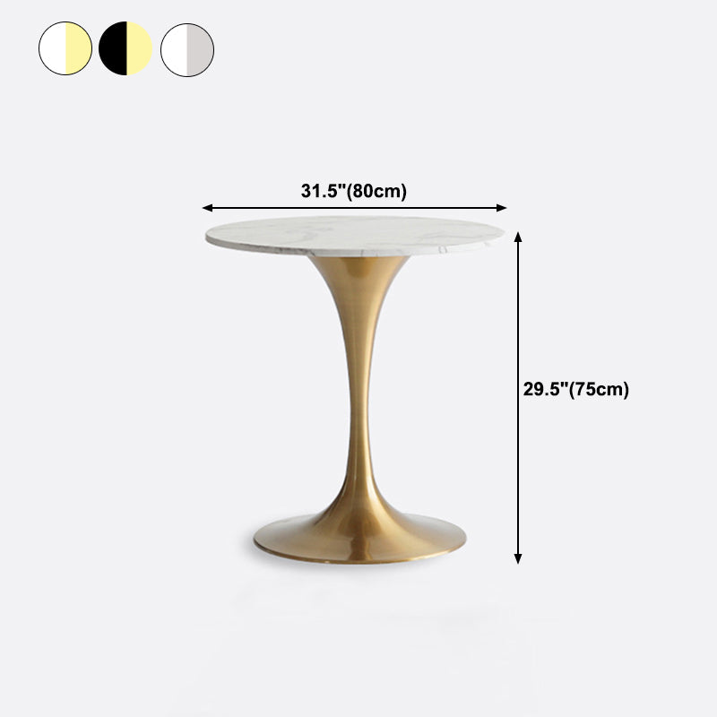 Metal Modern Round Dining Table Marble Top Indoor Table with Tulip Base