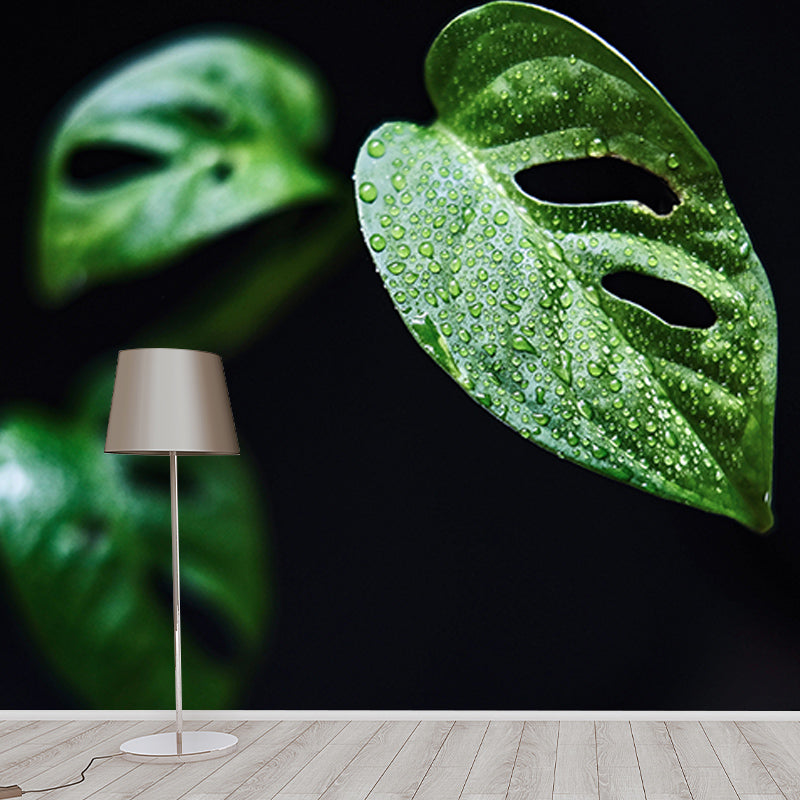 Wall Mural Environment Friendly Wallpaper Monstera Sitting Room Wall Mural