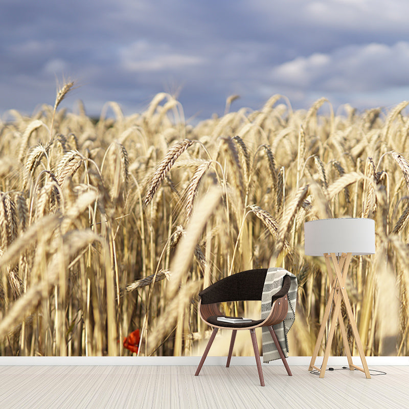 Wheat Field Photography Wall Mural Wallpaper Sitting Room Wall Mural