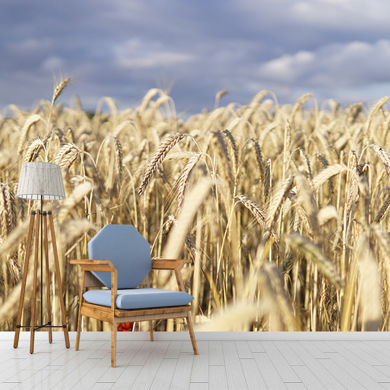Wheat Field Photography Wall Mural Wallpaper Sitting Room Wall Mural