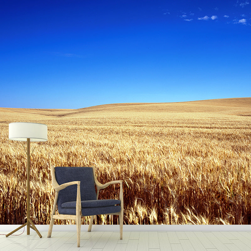 Photography Wheat Field Mildew Resistant Wallpaper Environmental Sleeping Room Wall Mural
