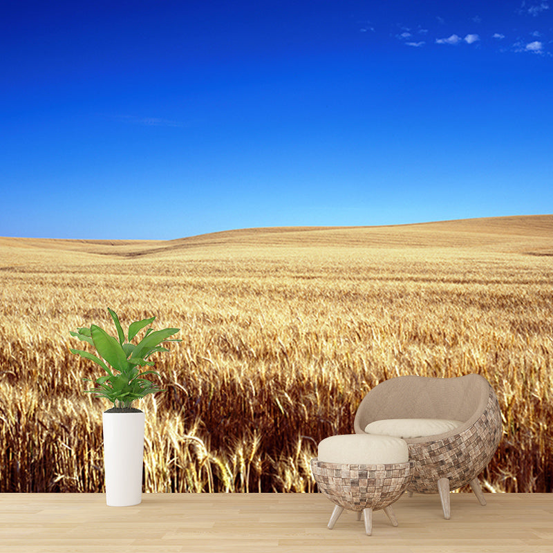 Photography Wheat Field Mildew Resistant Wallpaper Environmental Sleeping Room Wall Mural