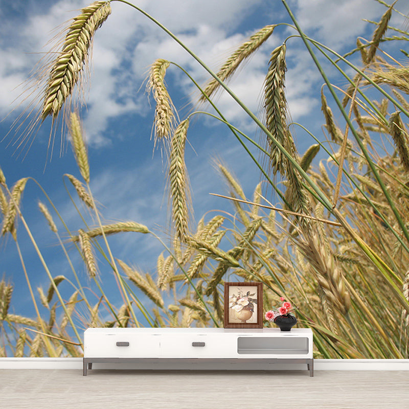 Wheat Field Modern Photography Mural Wallpaper Indoor Wall Mural
