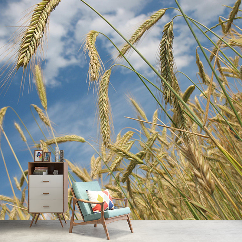 Wheat Field Modern Photography Mural Wallpaper Indoor Wall Mural