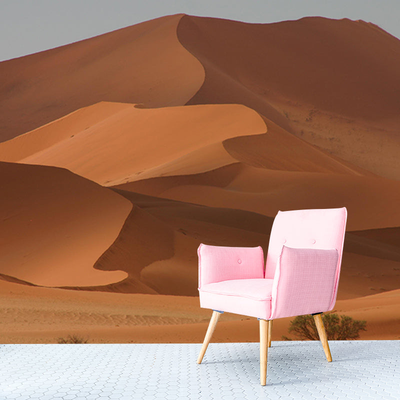 Photography Stain Resistant Mural Wallpaper Desert Living Room Wall Mural
