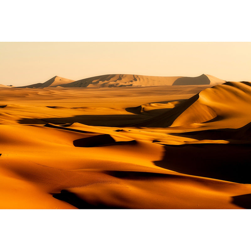 Washable Stain Resistant Mural Wallpaper Desert Indoor Wall Mural