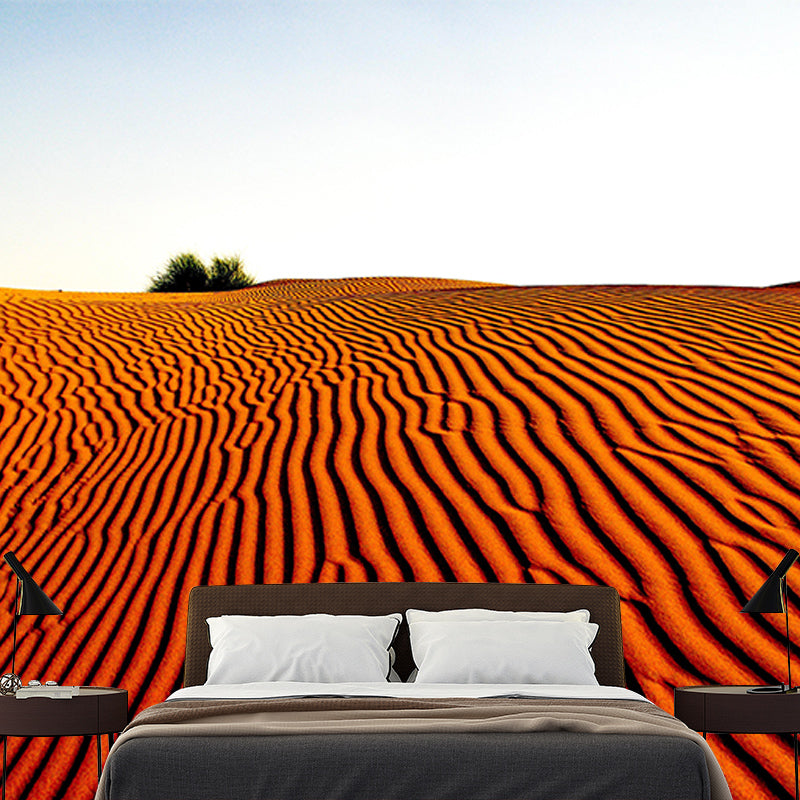 Washable Stain Resistant Mural Wallpaper Desert Indoor Wall Mural