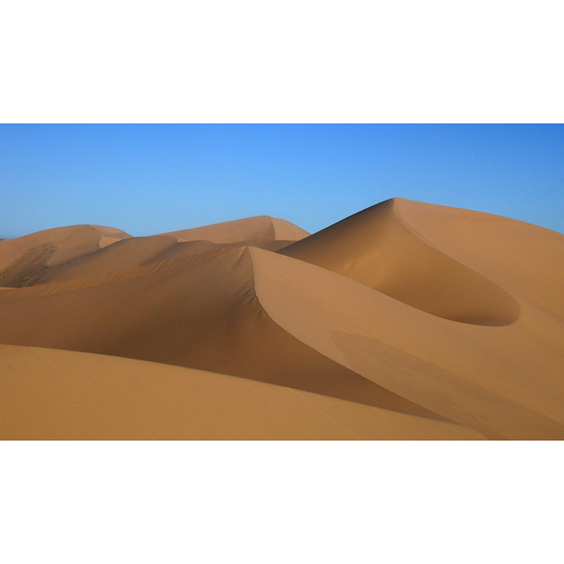 Desert Photography Mural Wallpaper Decorative Bedroom Wall Mural