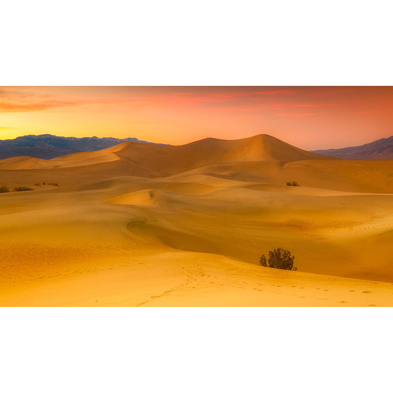 Photography Wall Mural Wallpaper Desert Sitting Room Wall Mural