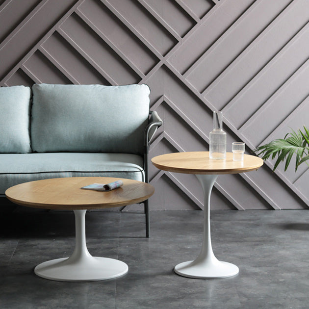 Pedestal redondo Mesa de comedor informal Mesa fija con madera maciza