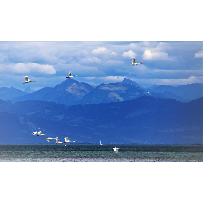 Mountains Photography Mural Wallpaper Environment Friendly Living Room Wall Mural