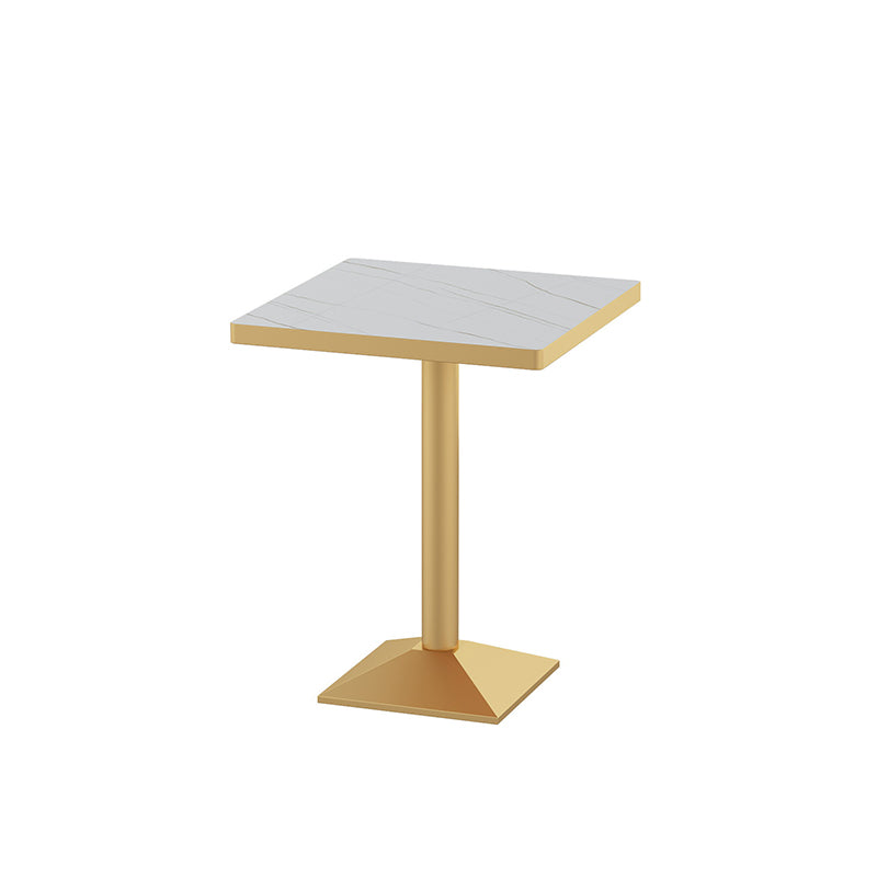 Glam Style 1/2/3/5 Pieces Dining Table Set Metal Dining Room Furniture Set