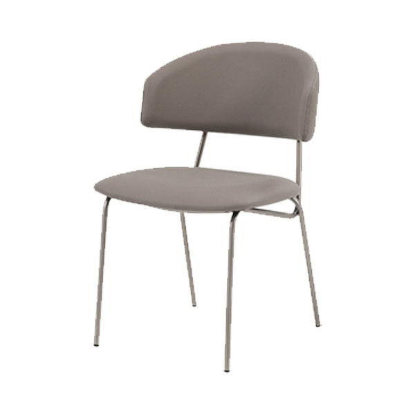 Eigentijdse stijl eetkamerstoelen eetarmloze open achterstoelen met metalen benen