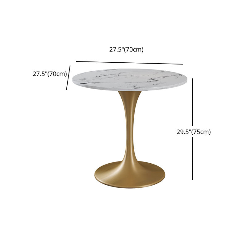 Modern 1/4/5 Pieces Dining Sintered Stone Dining Table Set with Metal Legs for Kitchen